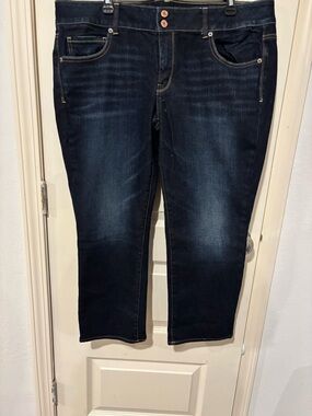 American Eagle Outfitters Dark Wash Cropped Jeans